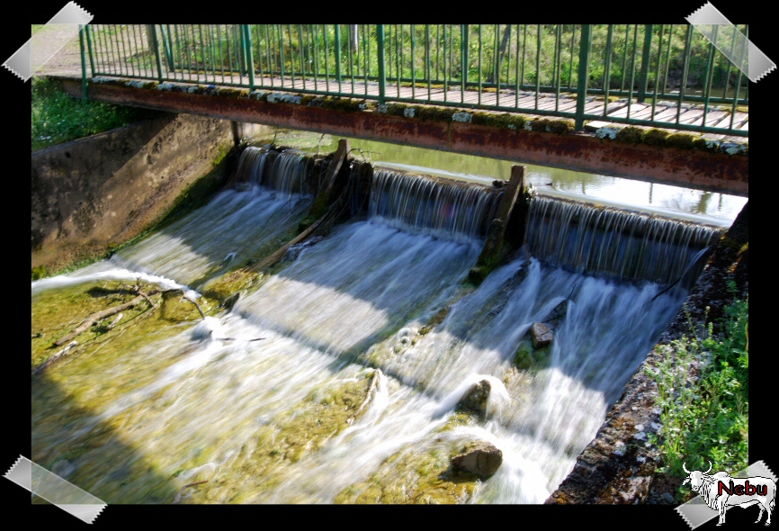 Lac_Cherveux_Avril2008_005_1.JPG