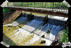 Lac_Cherveux_Avril2008_005_1