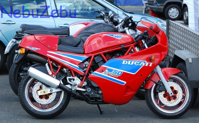 2008_Trofeo_164.jpg