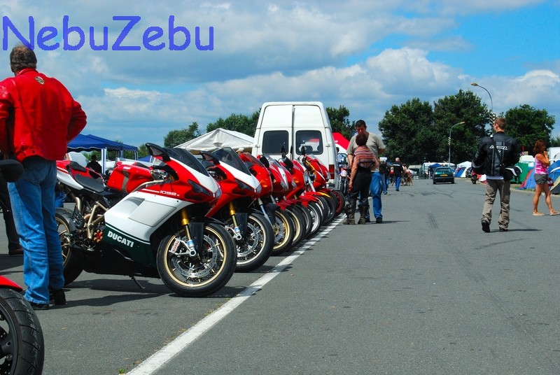 TROFEO_2008_dima_040.jpg